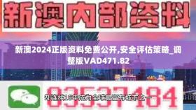 新澳正版资料2024最新更新，经典解释一网打尽-图8